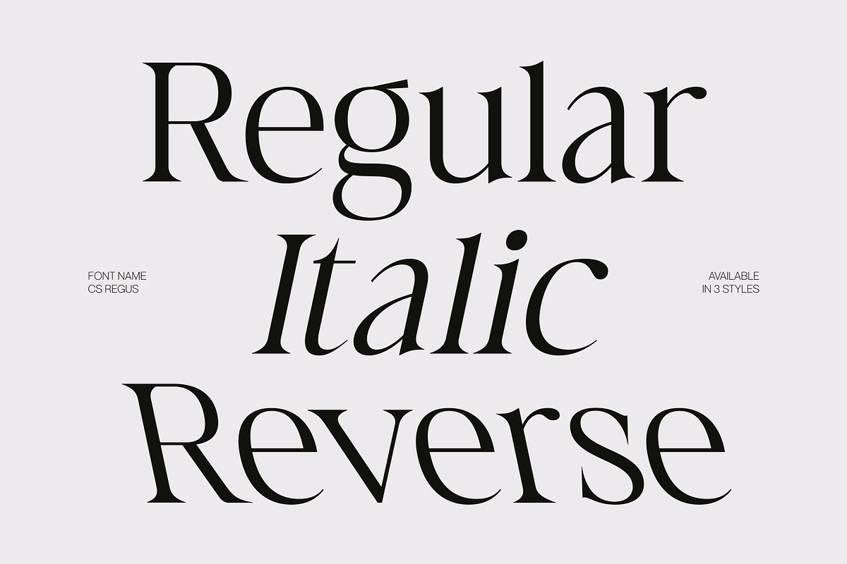 CS Regus – Modern Serif Font, a Serif Font by Craft Supply Co. (Photo 2 of 8)
