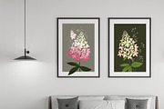 Hydrangea Floral art design, an Object Graphic by yana.tasha (Thumbnail 2 of 9)