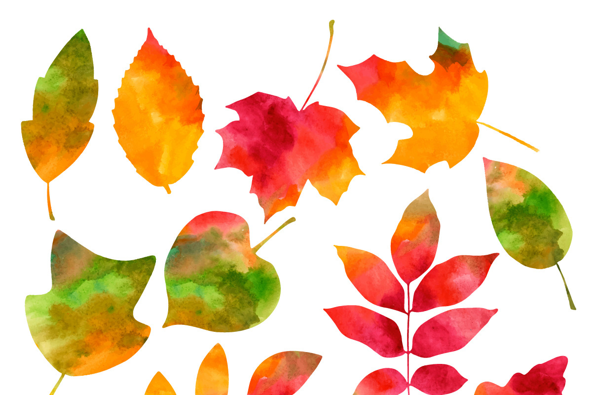 Watercolor Autumn Leaves, an Illustration by MyNatureGraphics (Photo 2 of 2)