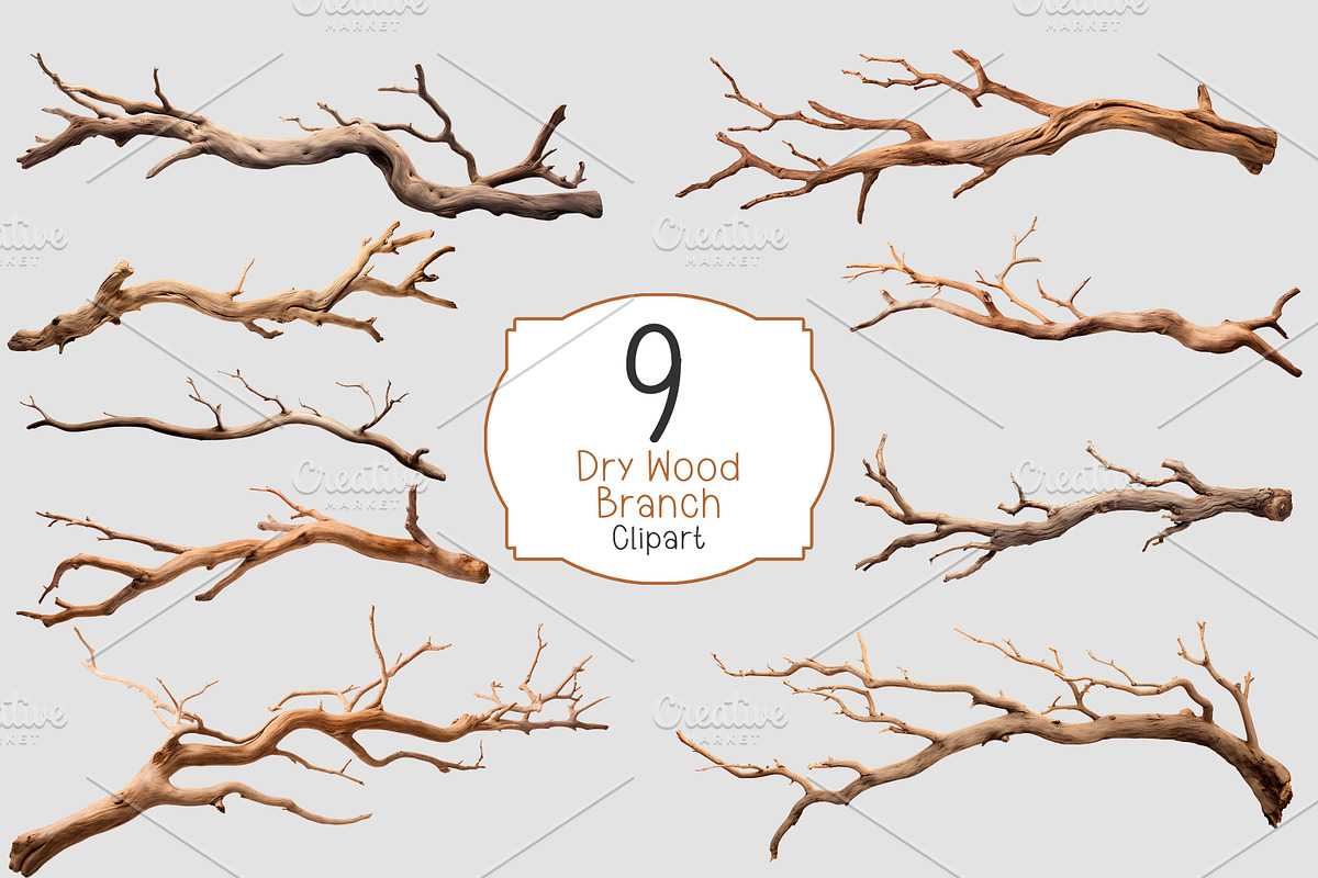 Dry wood branch clipart, a Decorative Illustration by Shahjahangdb1