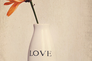 Orange Love