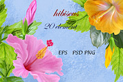 Set. Hibiscus pink and yellow., an Illustration by SokolovaSv (Thumbnail 1 of 3)