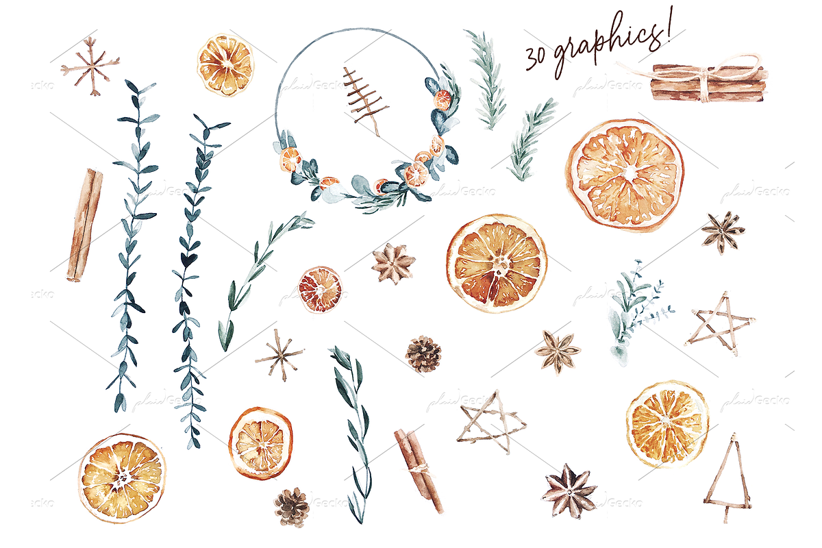 Dried Orange Christmas Spices, a Decorative Illustration by plaidGecko (Photo 2 of 6)