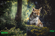 Dramatic Photoshop Actions Bundle, an Action Add-On by ARTNEST (Thumbnail 4 of 12)