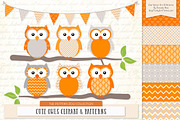 Owls Clipart & Patterns in Tangerine, an Animal Illustration by Amanda Ilkov (Thumbnail 1 of 4)