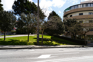 Street with trees and building in Fatima, Portugal under a sunny day, a Photo by AS photostudio
