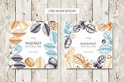 Hand-Drawn Nuts Sketches, a Food Illustration by Yevheniia (Thumbnail 8 of 12)