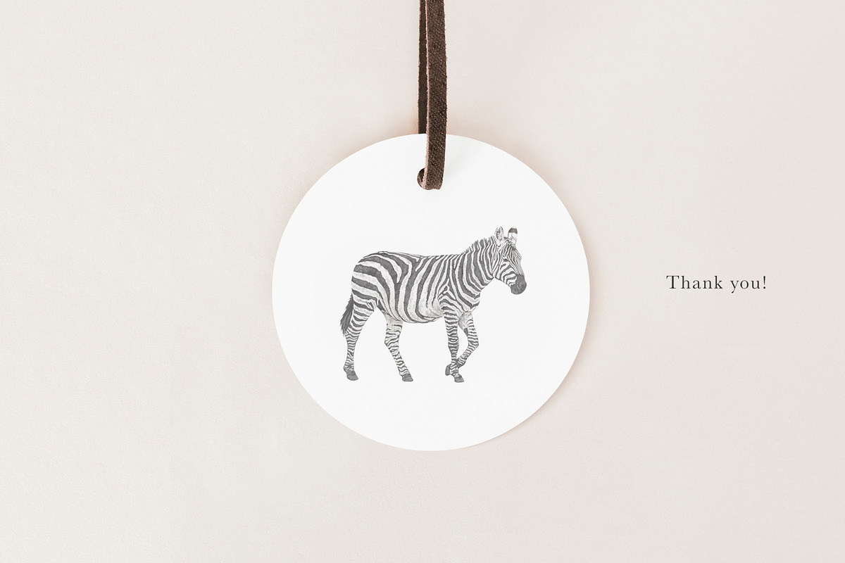Zebra & Giraffe Illustrations - PNGs, an Animal Illustration by LaurenFittonIllustration (Photo 9 of 9)