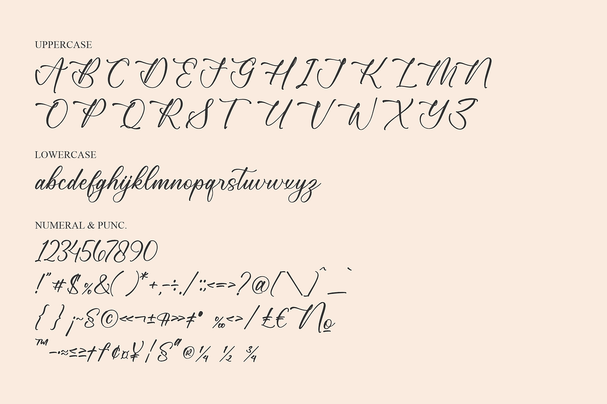 Gattenburg Mikalia Script Font, a Script Font by Storytype Studio (Photo 13 of 15)