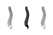 Human Spine Vector Icon Set, an Object Graphic by Artonix (Thumbnail 2 of 3)