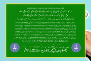 Freedom Paradise Handwritten Script, a Script Font by stylishtype.co (Thumbnail 17 of 20)