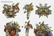 Birth Flowers & Birthstone Clipart, an Illustration by Belusuab (Thumbnail 11 of 16)