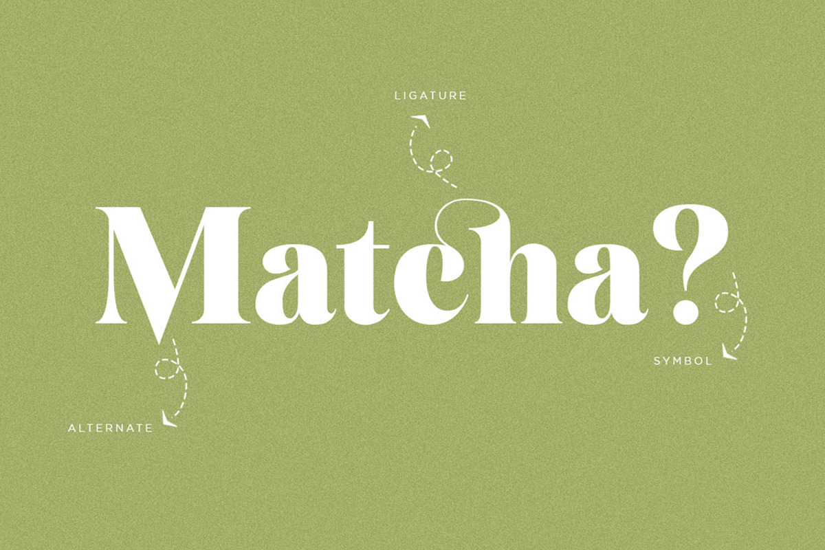 Simplify | Cheek Display, a Serif Font by Pentagonistudio (Photo 10 of 12)