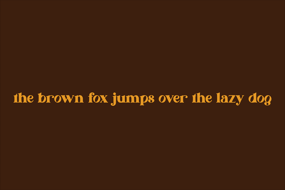Jafira, a Sans Serif Font by Design House (Photo 2 of 3)