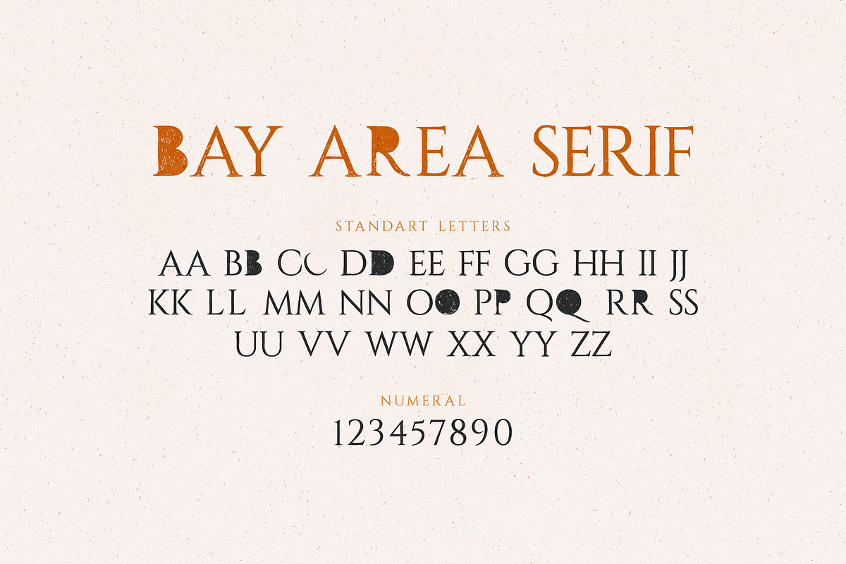 Bay Area Font Family, a Script Font by Spasibenko Art (Photo 14 of 18)