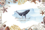 Watercolor whale. Sea underwater set, an Animal Illustration by Julycolor (Thumbnail 1 of 21)