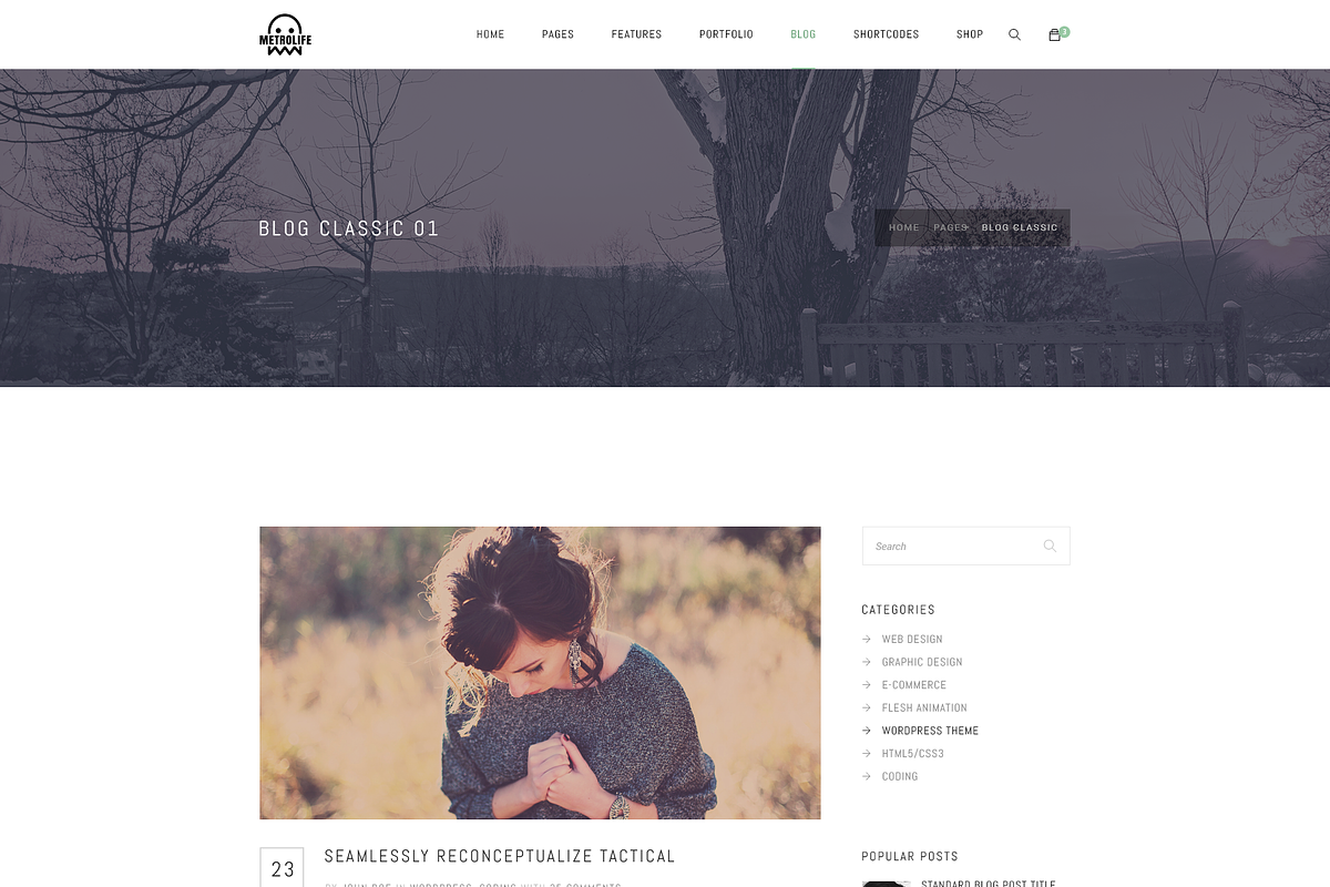 Metrolife Multipurpose PSD Template, a Websites & App Template by bigpsfan's SHOP (Photo 11 of 20)
