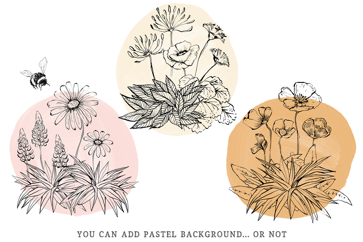 Flower Doodle clipart, Ink Meadow, an Illustration by swiejko (Photo 3 of 8)