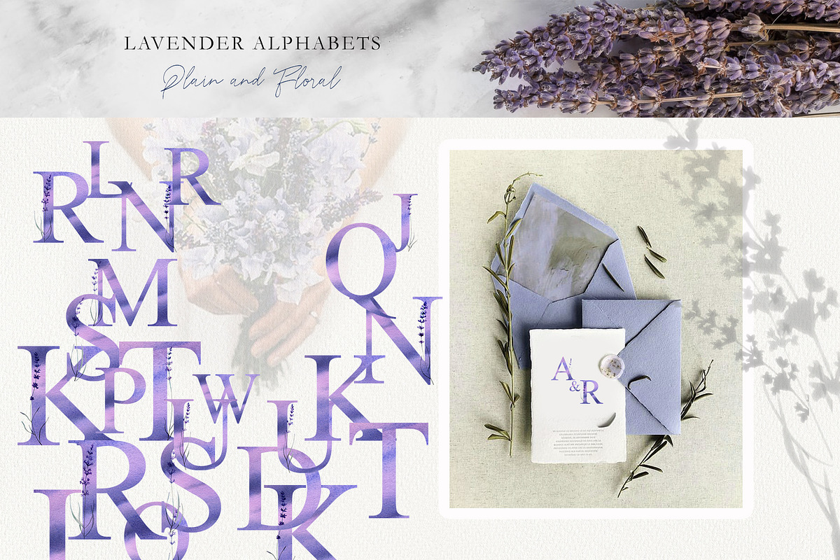 Love Lavender Set, an Illustration by Olga Koelsch (Photo 5 of 11)