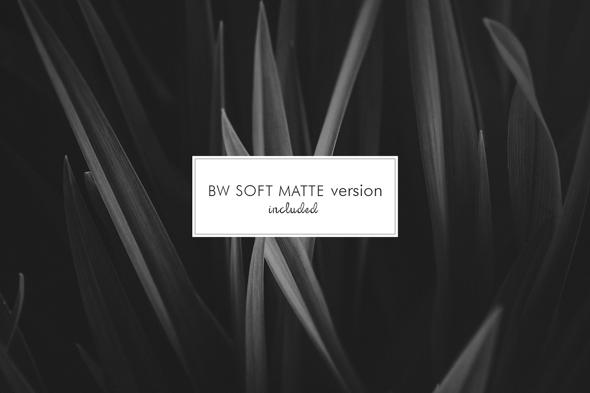 Black & White presets for Lightroom, an Action Add-On by Hombre-cz (Photo 8 of 9)