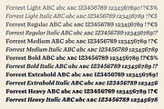 Forrest Friendly Serif Family, a Serif Font by Fenotype (Thumbnail 5 of 12)