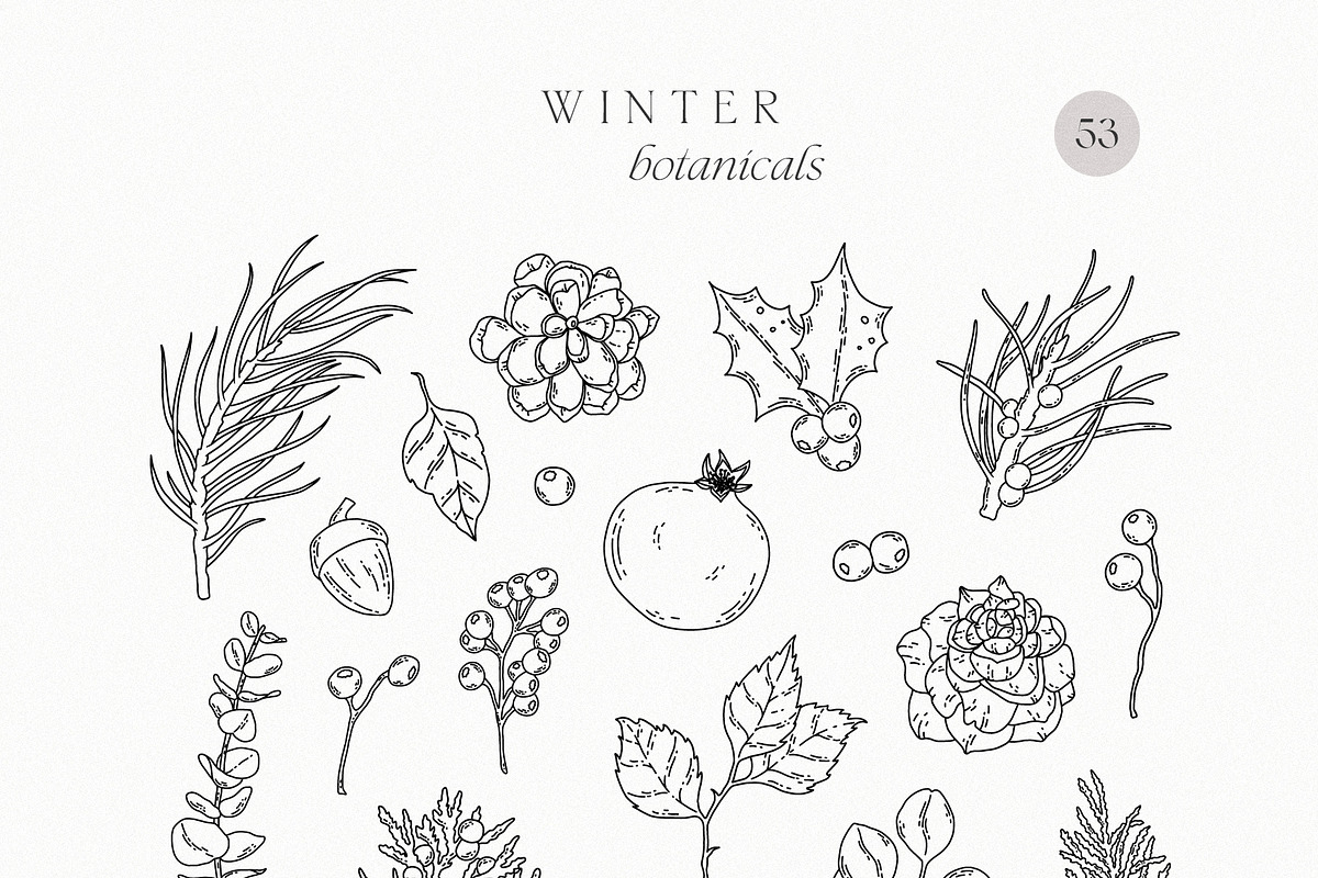 WINTER FLORAL Christmas line art set, a Decorative Illustration by Madiwaso (Photo 6 of 9)