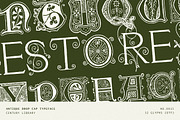 Ornate Botanical Drop Cap Font No15, a Serif Font by Century Library (Thumbnail 1 of 5)