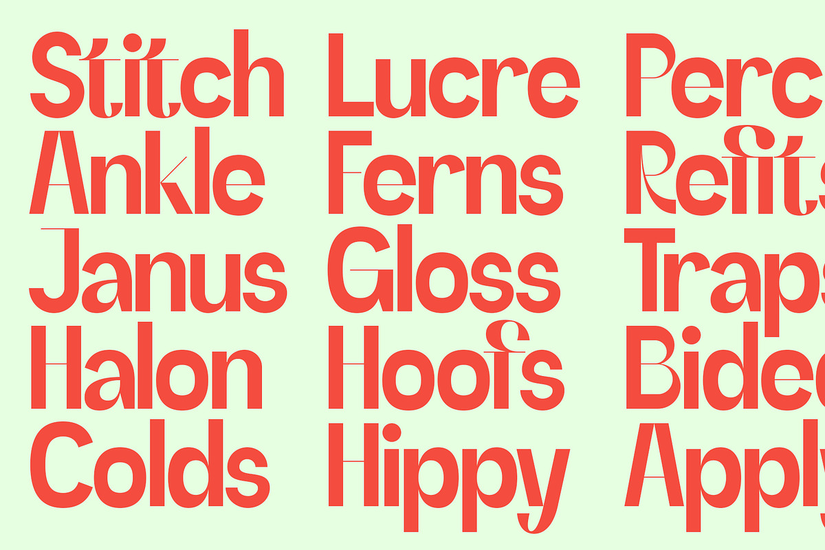 SLTF Refugio - Modern Grotesk Font, a Sans Serif Font by SilverStag Type Foundry (Photo 22 of 30)
