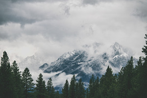 Snowy morning on the mountain top