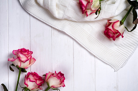 Roses frame with plaid on wooden white background stock photo containing rose, a Nature Photo by YuMyart