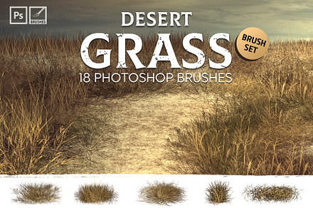 Dynamic Desert Grass Brushes, a Brush Add-On by Mohamed Saber