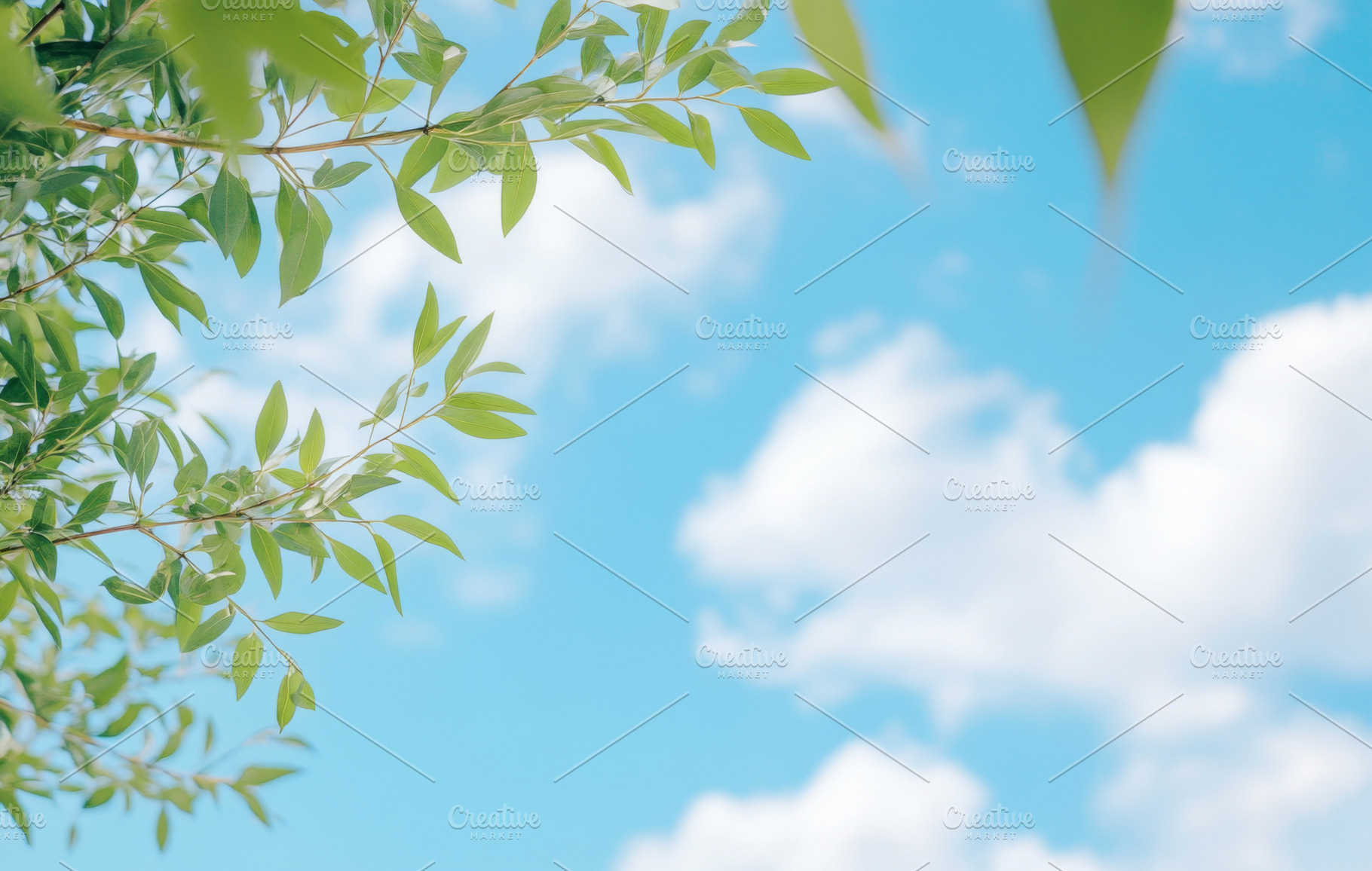 Blue sky and white clouds with green, a Photo by Dvoevnore photos