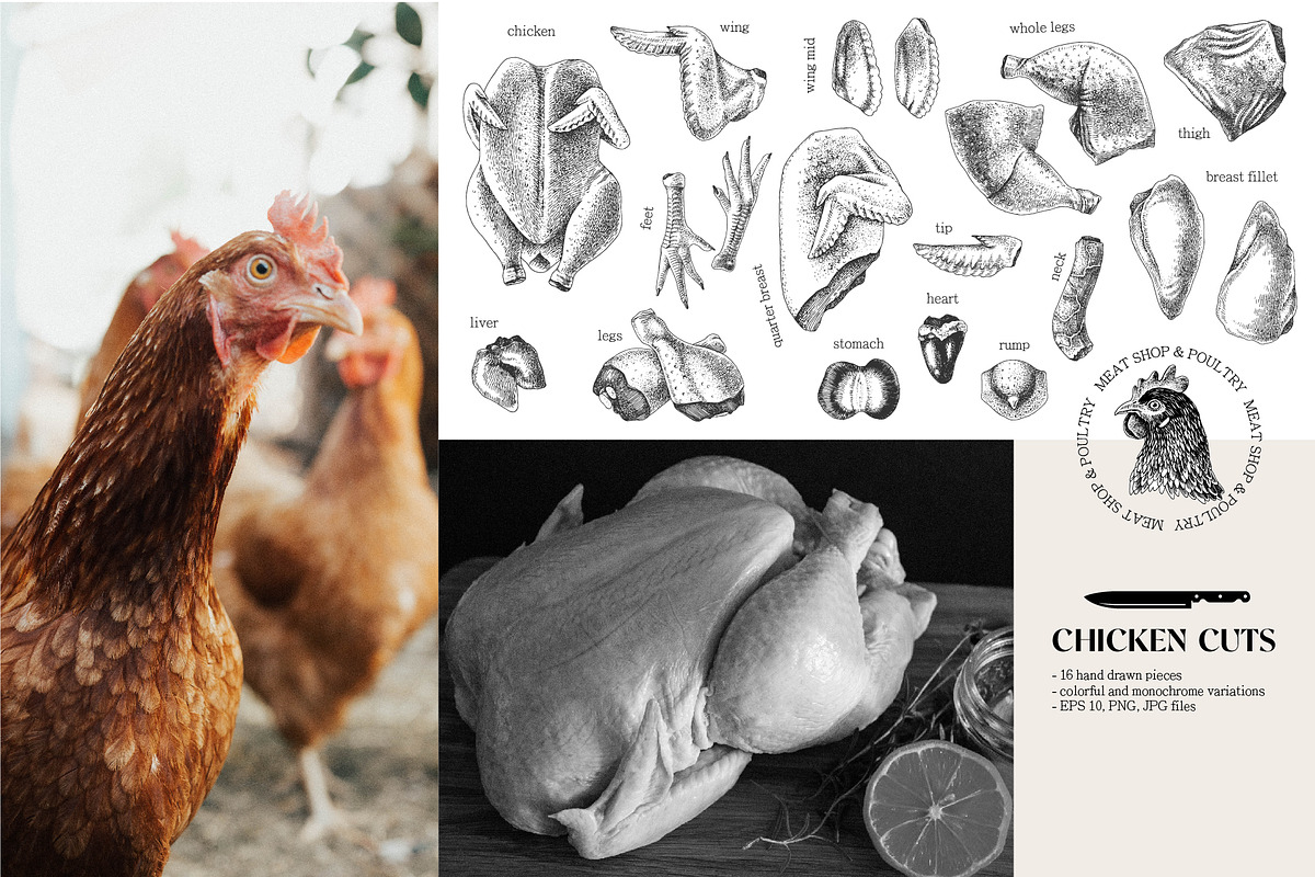 Ultimate meat set. Meat market, a Food Illustration by handsketched (Photo 6 of 17)
