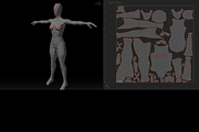 Realistic Female Base Mesh in T-Pose, a Characters & Person 3D Model by Casa Mandarina (Thumbnail 9 of 9)