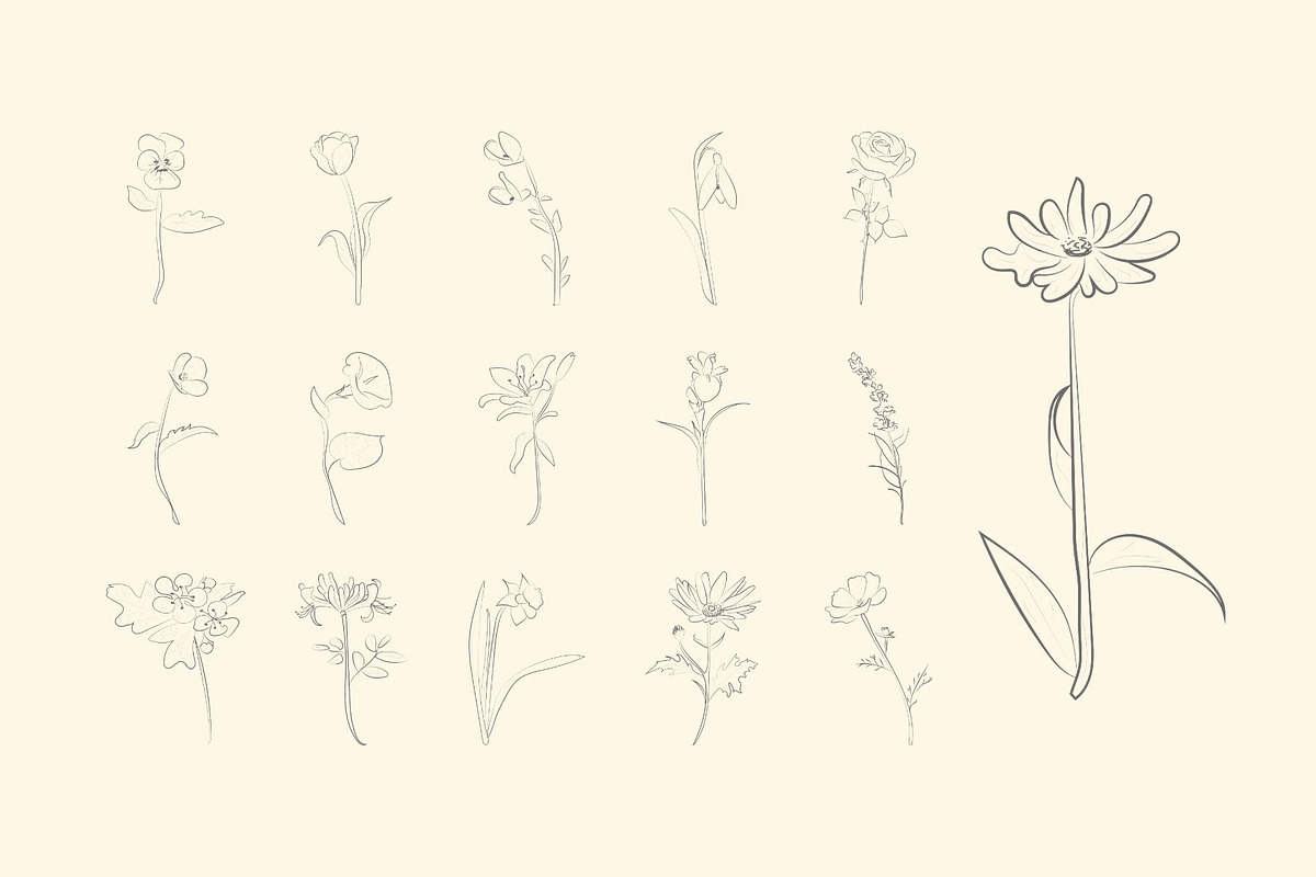 Flower Line Art Illustration, an Illustration by GravitaSign (Photo 3 of 3)