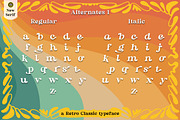 Classic Vibes, a Serif Font by greatypes studio (Thumbnail 14 of 29)