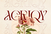 Vintage Agriqy - Modern Logo Serif, a Serif Font by Nirmana Visual (Thumbnail 1 of 6)