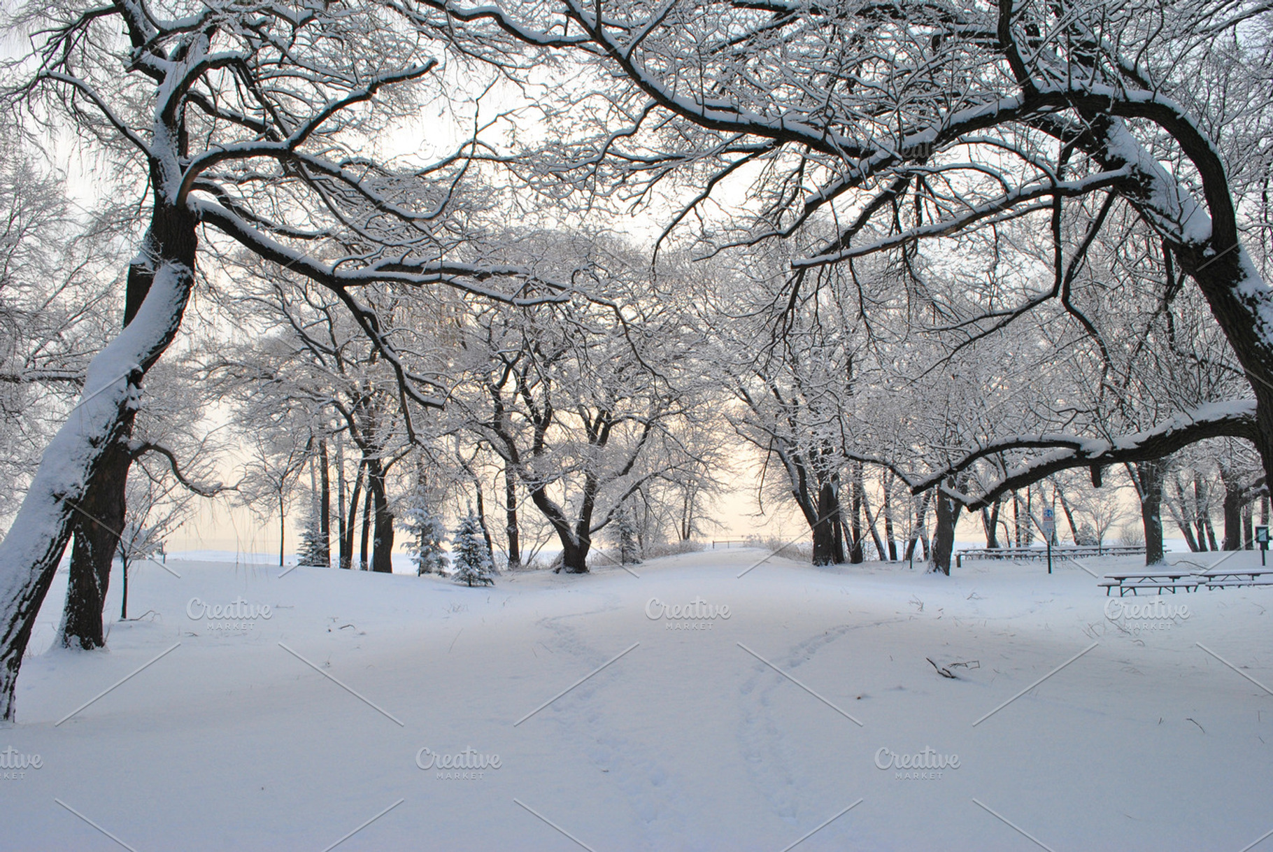 City park in winter after snowfall containing bench, blizzard, and brightly, a Nature Photo by Bloor