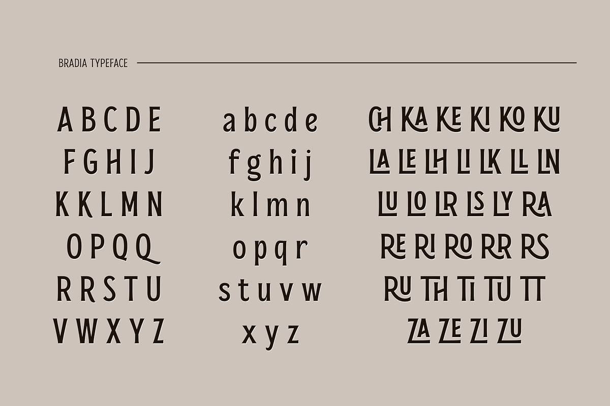 Bradia, a Serif Font by Locomotype (Photo 10 of 12)
