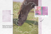 Whimsical Frames Hand-Drawn Borders, an Object Graphic by Nonceni (Thumbnail 8 of 11)