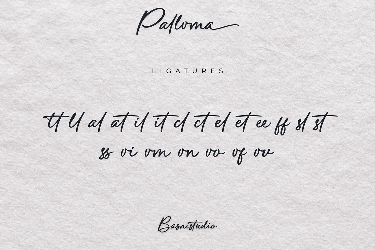 Palloma a Signature Font, a Handwritten Font by Basnistudio (Photo 16 of 17)