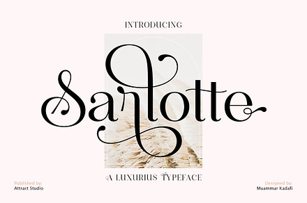 NOIR et BLANC Stylish Serif Serif Fonts Creative Market