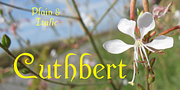 Cuthbert, a Font by Ingrimayne Type (Thumbnail 1 of 7)