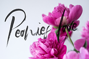 SkyLove SVG Watercolor Font, a Script Font by SilverStag Type Foundry (Thumbnail 10 of 11)