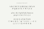 Cerost Modern Ligature Typeface, a Serif Font by Dylla_studio (Thumbnail 13 of 14)