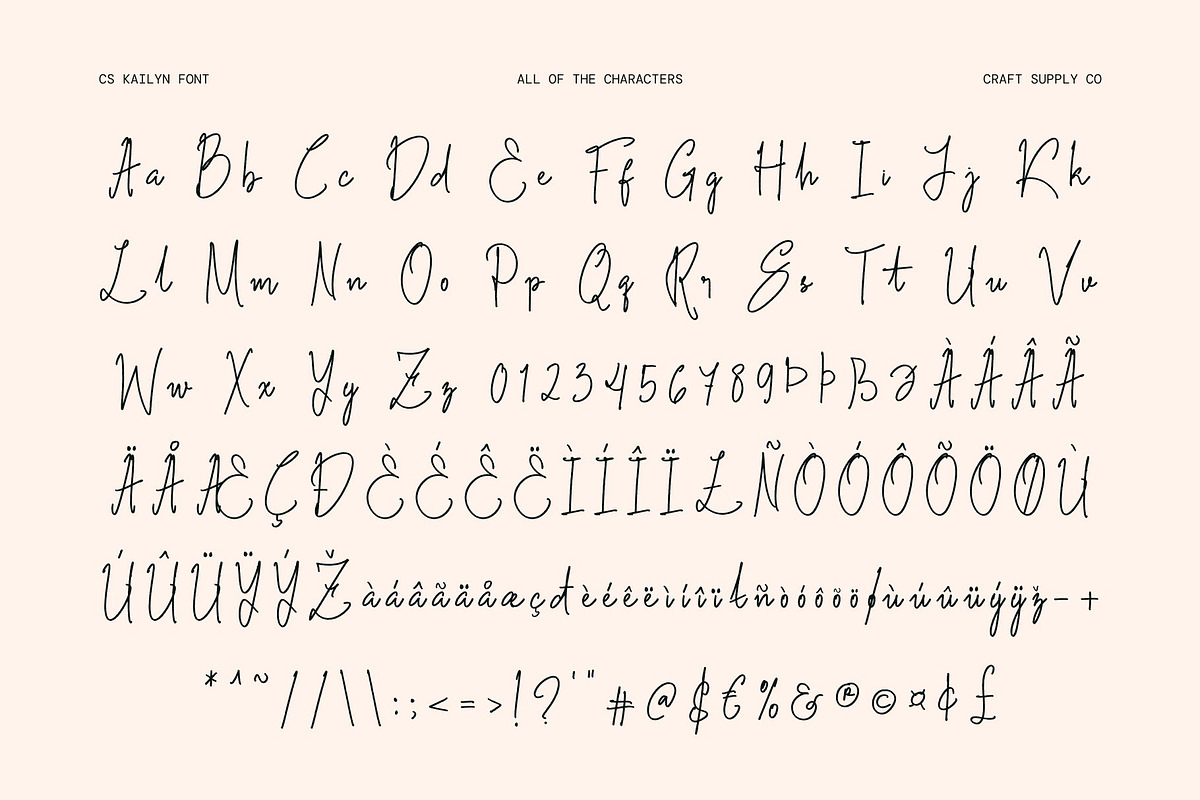 CS Kailyn - Signature Script Font, a Script Font by Craft Supply Co. (Photo 8 of 8)