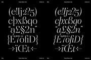 Dupioni Thin - Ligature Serif, a Serif Font by Silktype (Thumbnail 14 of 20)