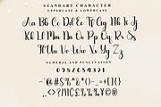 Sunshine, a Handwritten Font by FreshTypeINK (Thumbnail 5 of 8)
