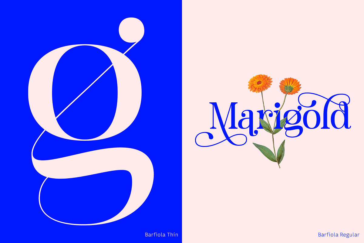 Barfiola Typeface, a Serif Font by MJtypefoundry (Photo 10 of 14)