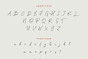 Oxlade Script Font, a Script Font by yellowline (Thumbnail 9 of 11)